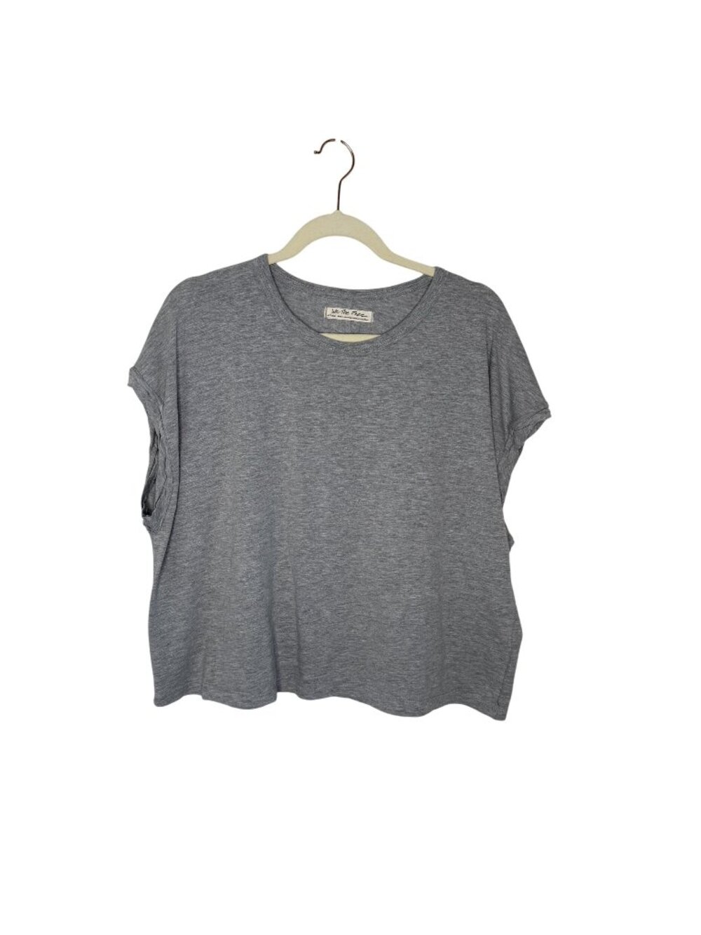 Free People We The Free Gray Oversized Short-Sleeve Top, M